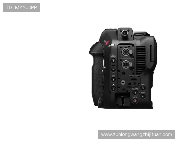 Z6尊龙旗舰厅登录线路安全稳定，保障您的娱乐体验无忧