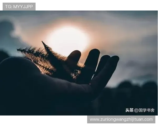 尊龙人生就是博平台：探索人生无限可能的智慧平台，助你实现人生价值