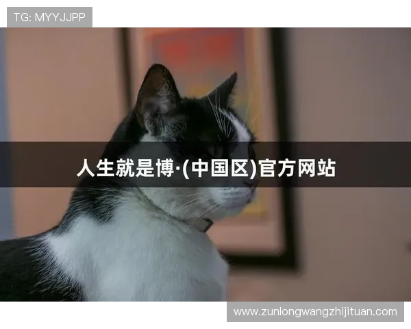 尊龙凯人生：从尊龙凯的故事中汲取人生启示与成功的关键要素