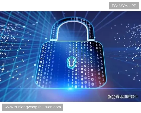 尊龙正规官网：平台安全措施与用户隐私保护方案