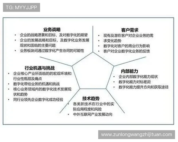 尊龙集团网址与合作伙伴们的关系，深度剖析合作模式与成功案例