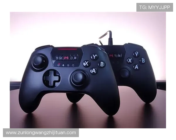 尊龙d88官网游戏种类丰富多样满足不同玩家的多样化需求 尊龙d88官网游戏种类丰富多样满足不同玩家的多样化需求