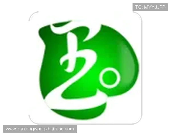 尊龙官网登录入口网页版官方渠道，保障账号安全与隐私保护