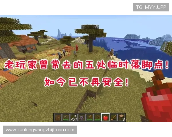 尊龙游戏：严格的安全措施保障玩家的资金与信息安全