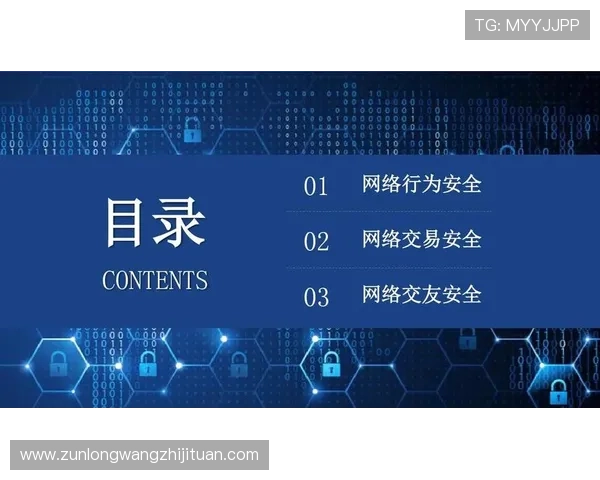 尊龙游戏中心首页安全保障措施解析确保玩家账号信息安全无忧