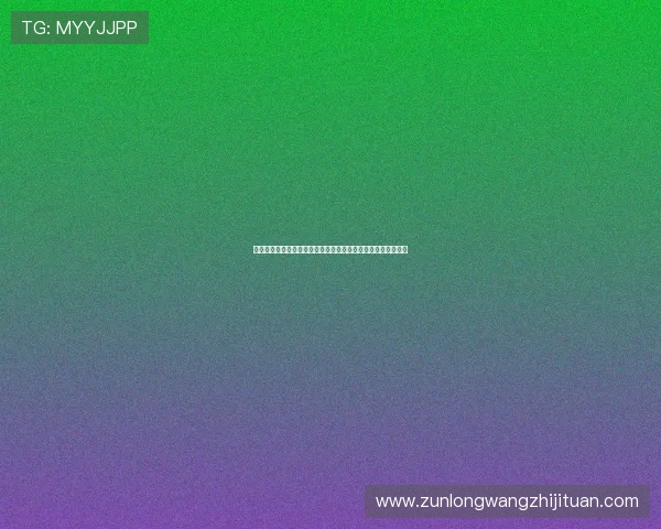 尊龙官网完整版全方位解析,提供最新版本更新内容与活动信息